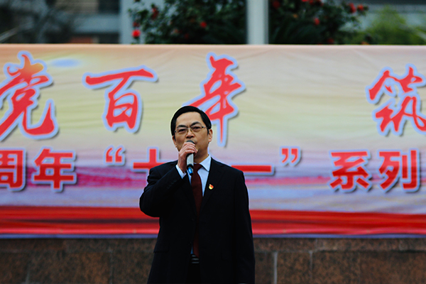 "十个一"系列活动,践行党的宗旨,发挥党员作用,履行教师职责,立德树人